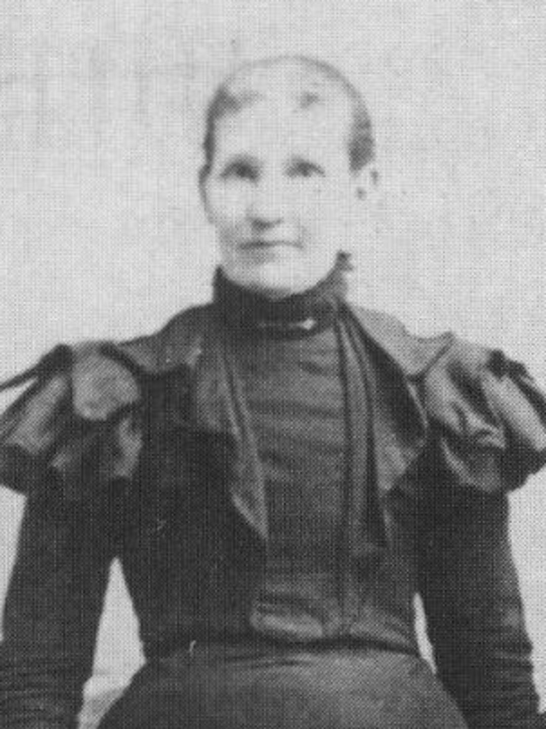Laura Burbank (1850 - 1922) Profile
